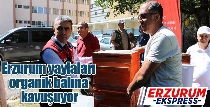 Erzurum yaylaları organik balına kavuşuyor