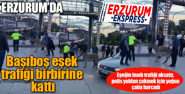 Eşeğin inadı trafiği aksattı, polis yoldan çekmek için yoğun çaba harcadı