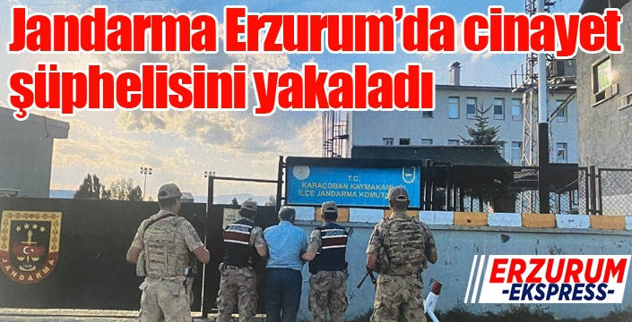 Jandarma cinayet şüphelisini yakaladı