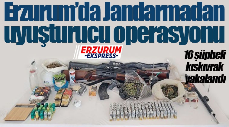 Jandarma’dan uyuşturucu operasyonu