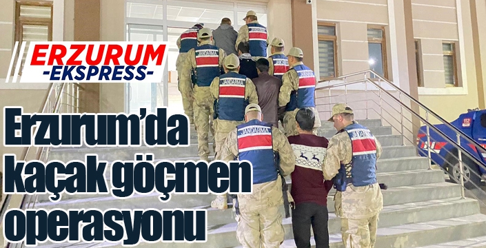 Jandarma ekiplerinden kaçak göçmen operasyonu