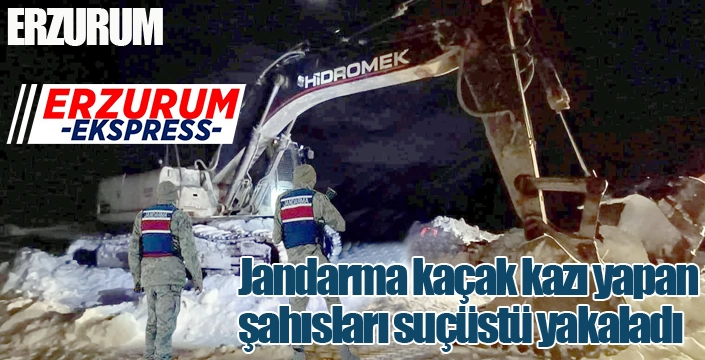 Jandarma kaçak kazı yapan şahısları suçüstü yakaladı