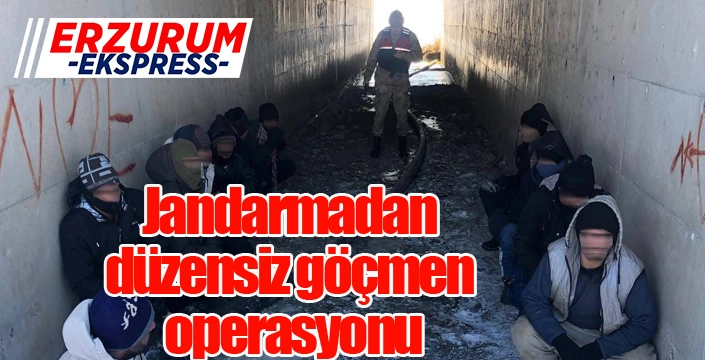 Jandarmadan düzensiz göçmen operasyonu