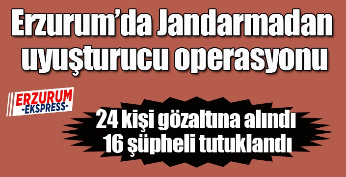 Jandarmadan uyuşturucu operasyonu