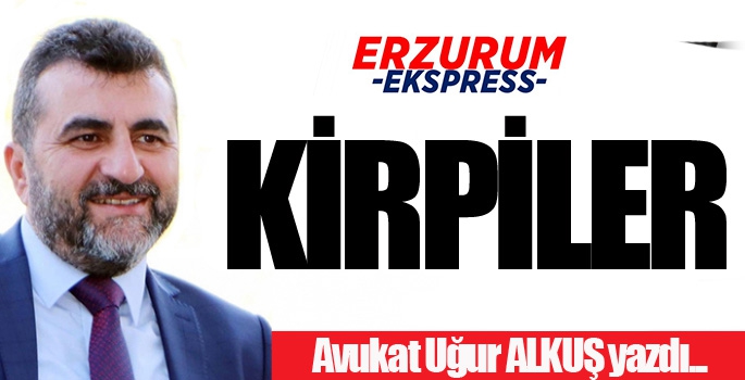 KİRPİLER…