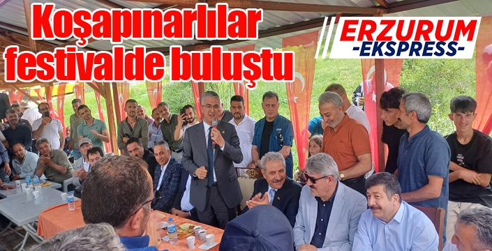 Koşapınarlılar festivalde buluştu