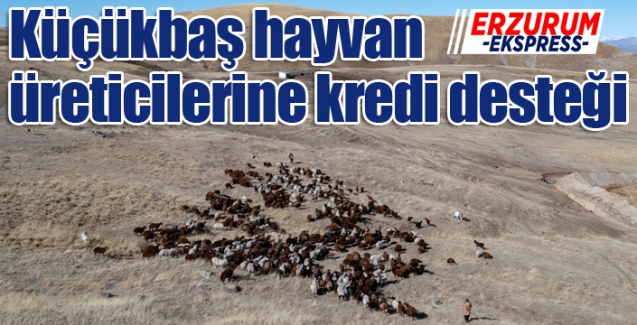 Küçükbaş hayvan üreticilerine kredi desteği