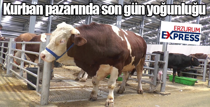 Kurban pazarında son gün yoğunluğu