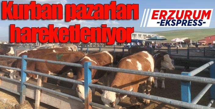 Kurban pazarları hareketleniyor