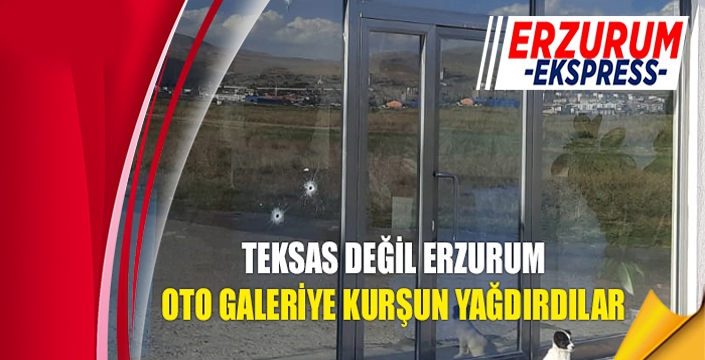 Oto galeriye kurşun yağdırdılar...