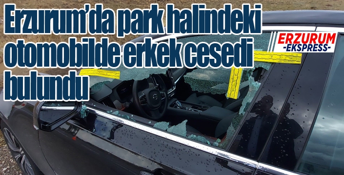 Park halindeki otomobilde erkek cesedi bulundu