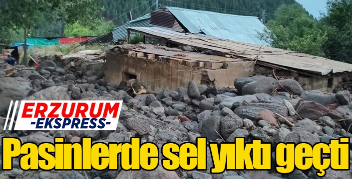 Pasinlerde sel yıktı geçti