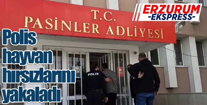 Polis hayvan hırsızlarını yakaladı