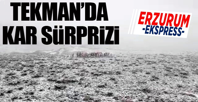 Tekman’da Mayıs ayında kar sürprizi