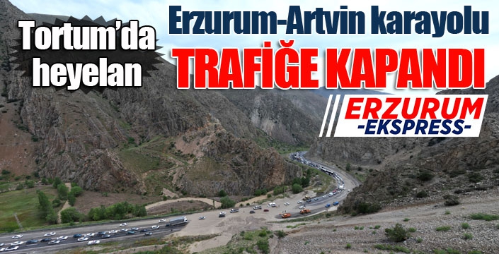 Tortum'da heyelan: Erzurum-Artvin karayolu trafiğe kapandı