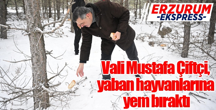 Vali Mustafa Çiftçi, yaban hayvanlarına yem bıraktı