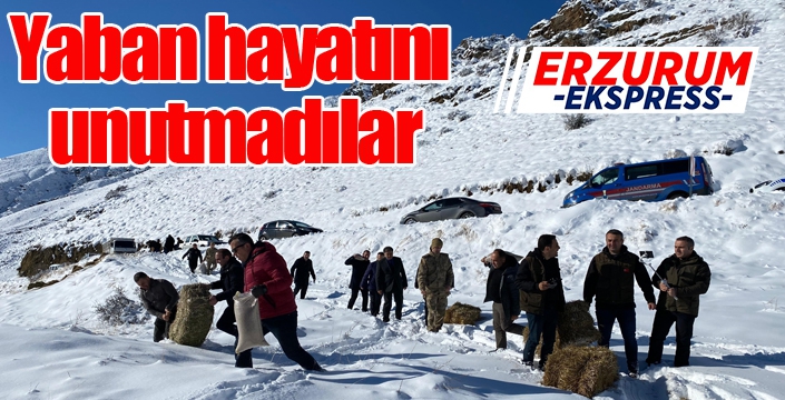 Yaban hayatını unutmadılar