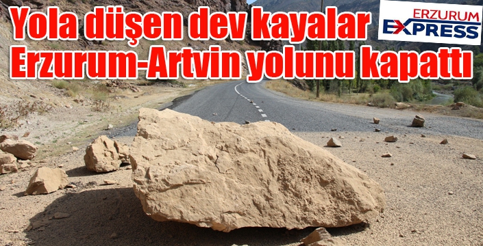 Yola düşen dev kayalar yolu kapattı